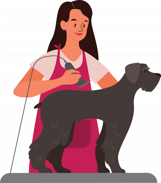 Head to Tail Dog Grooming Dog grooming in St Austell, Cornwall